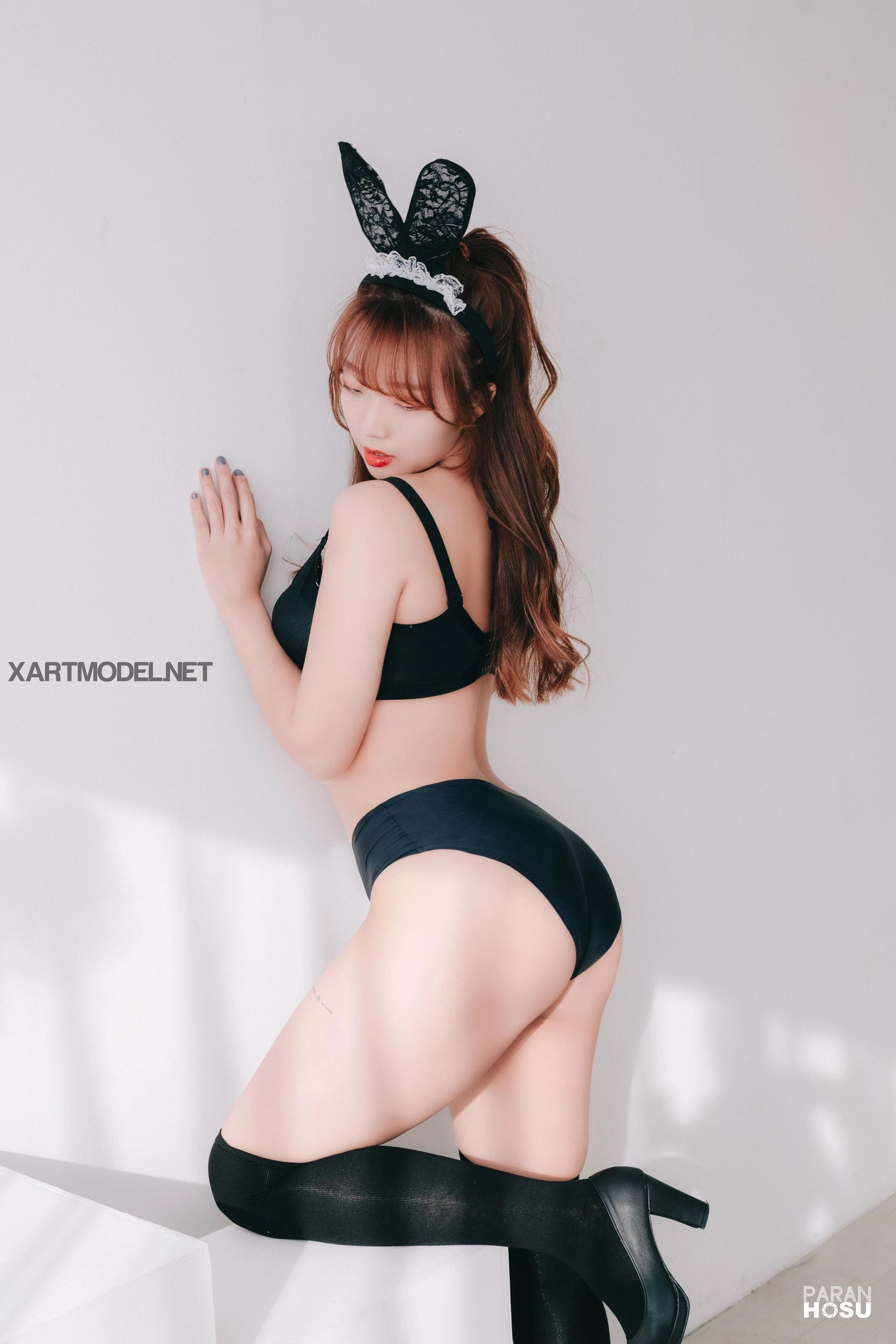 006.Paranhosu -  Koby - Welsh Red & Black 1